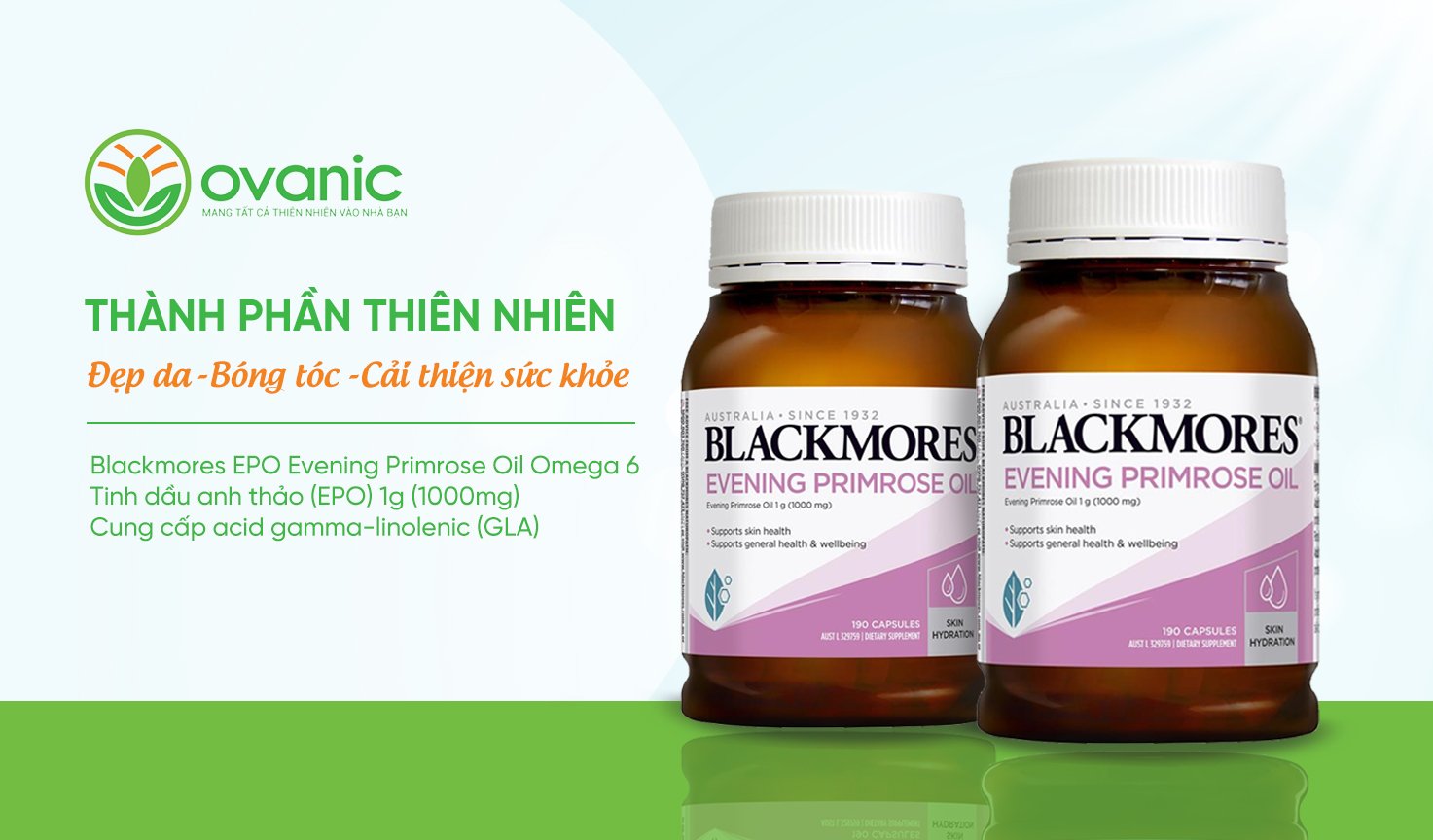 Các thành phần có trong tinh dầu hoa anh thảo Blackmores