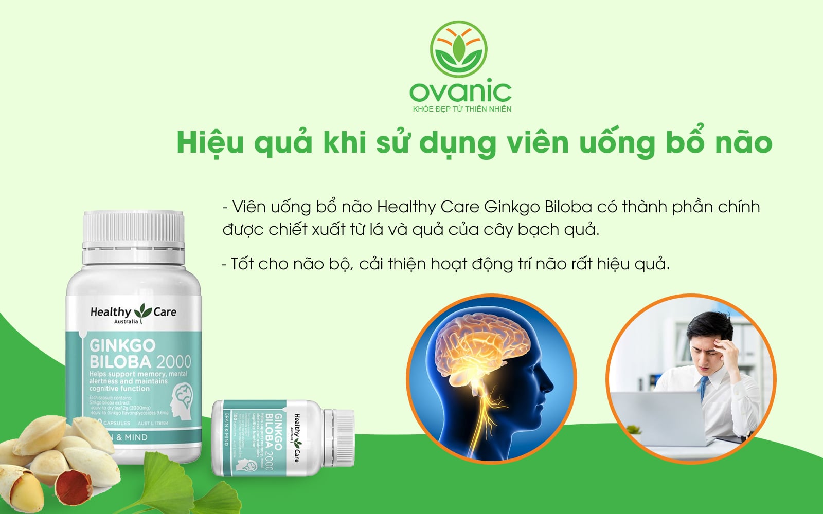 Hiểu quả khi sử dụng Ginkgo Biloba