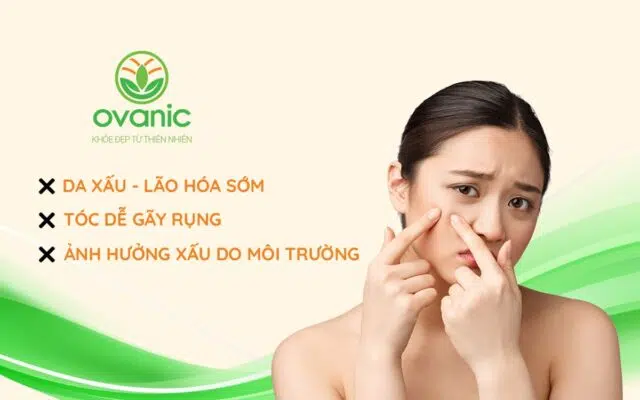 Các vấn đề của khách hàng