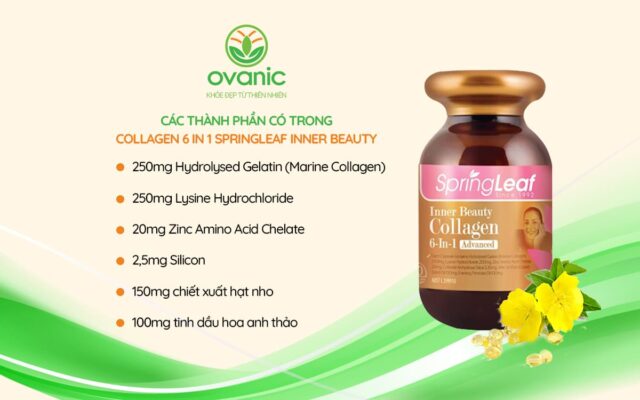 Thành phần thuốc của Collagen 6 in 1 SpringLeaf Inner Beauty