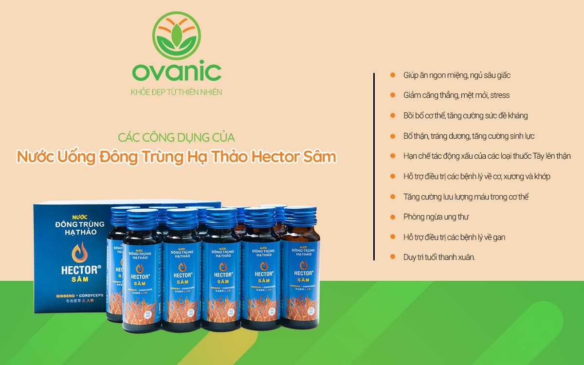 Công dụng của sản phẩm Nước uống đông trùng hạ thảo Hector Sâm