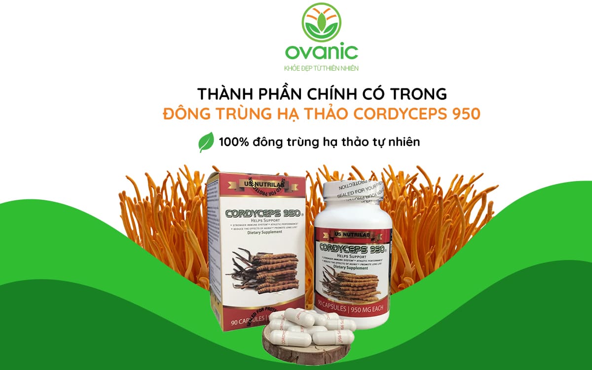 Thành phần thuốc của đông trùng hạ thảo Cordyceps