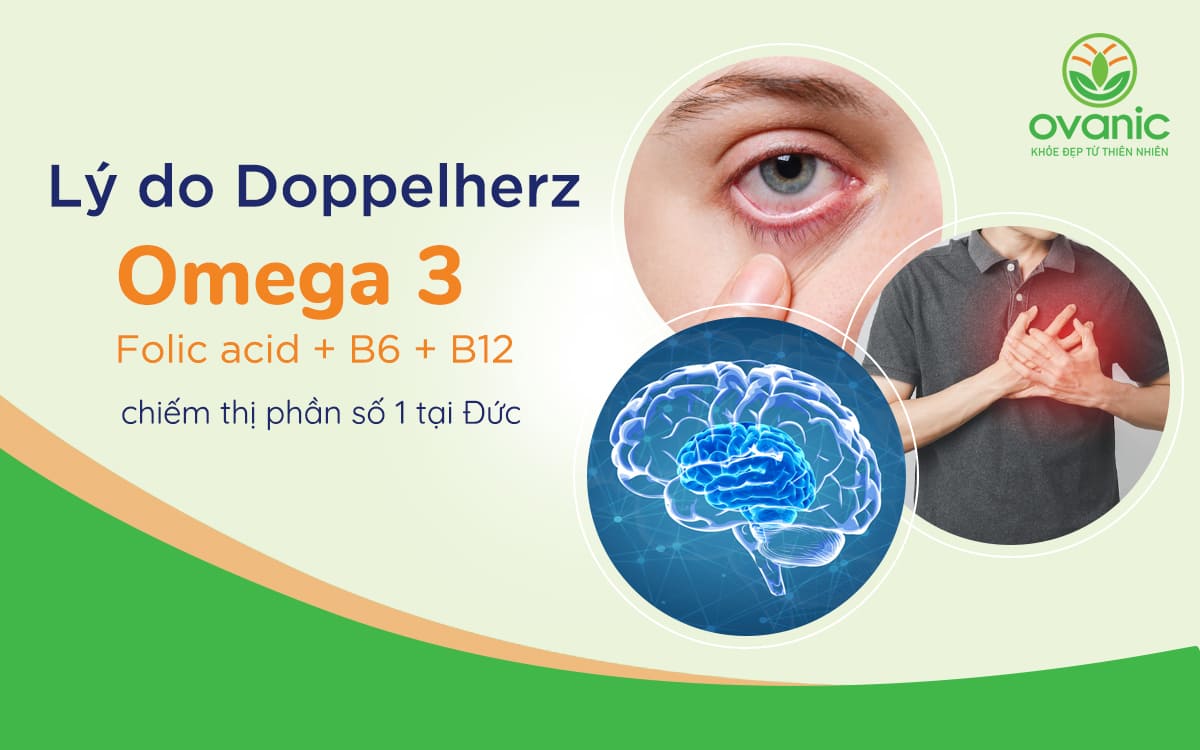 Tại sao Doppelherz Omega 3 Folic acid B6 B12 luôn được tin tưởng và lựa chọn