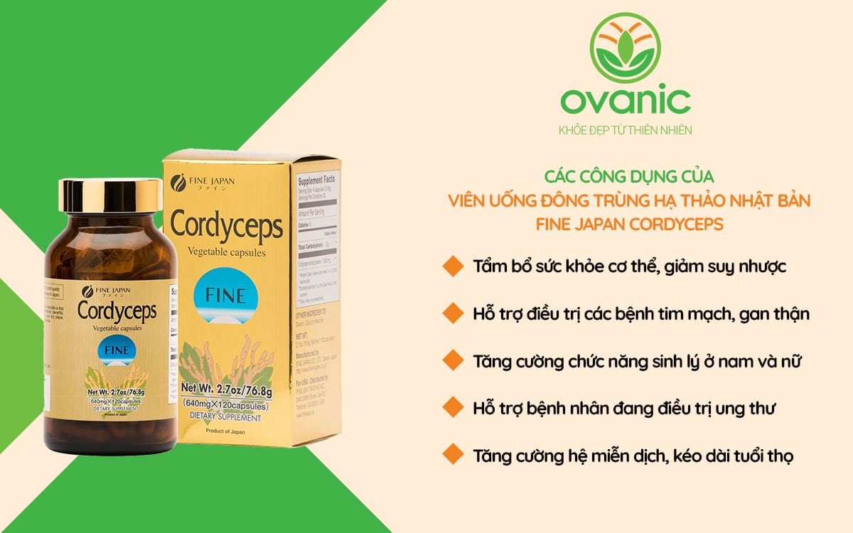 Công dụng của viên uống đông trùng hạ thảo Fine Japan Cordyceps