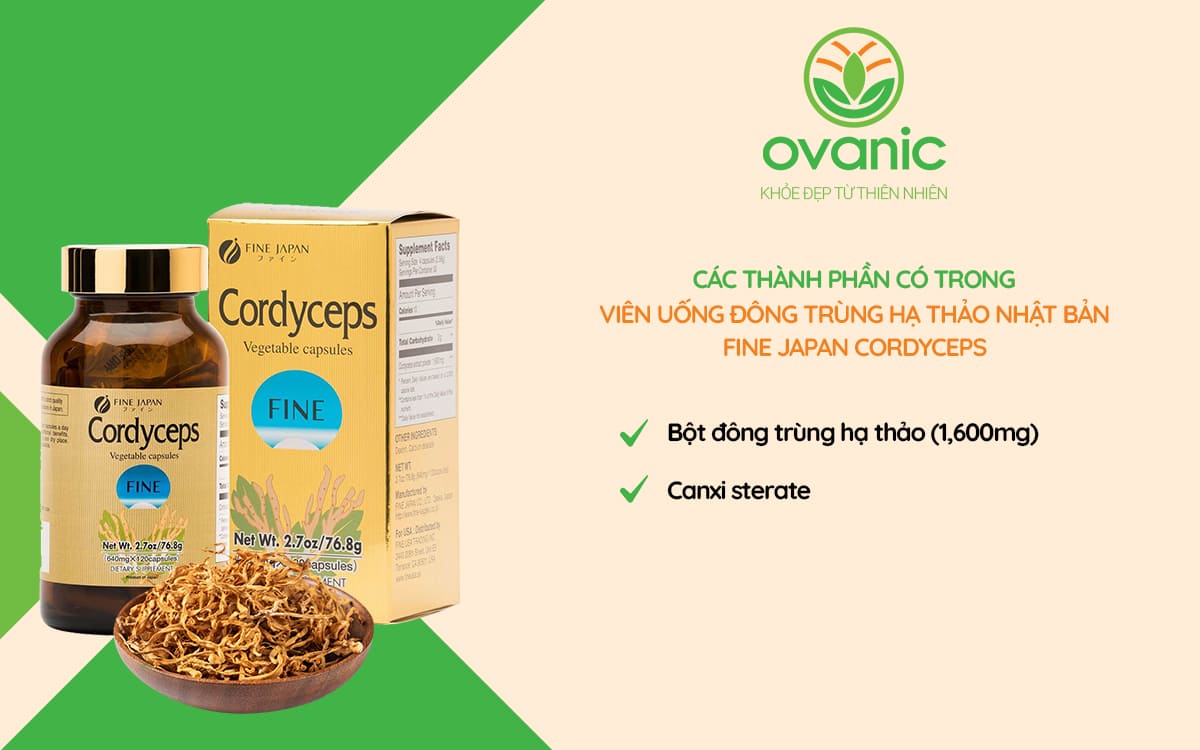 Thành phần có trong đông trùng hạ thảo Fine Japan Cordyceps