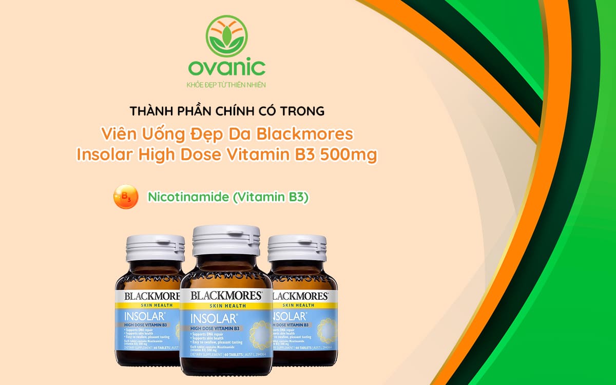 Thành phần thuốc của Blackmores Insolar High Dose Vitamin B3