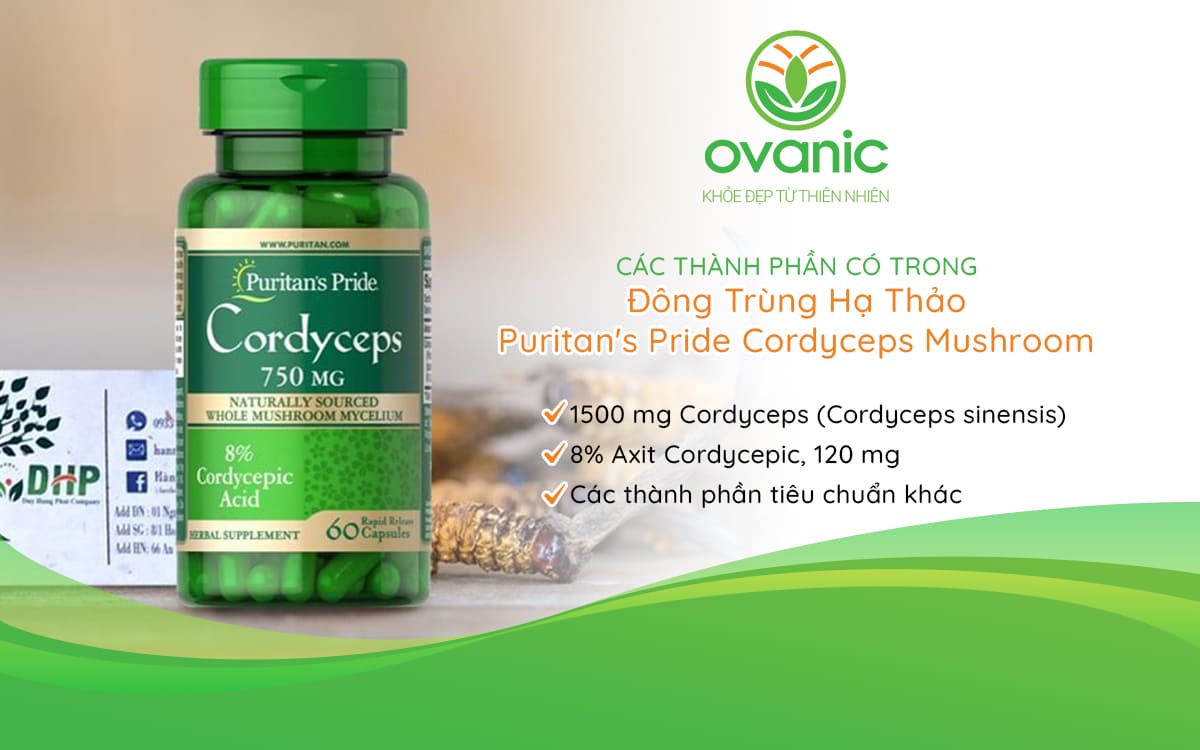 Thành phần của sản phẩm Puritan's Pride Cordyceps Mushroom