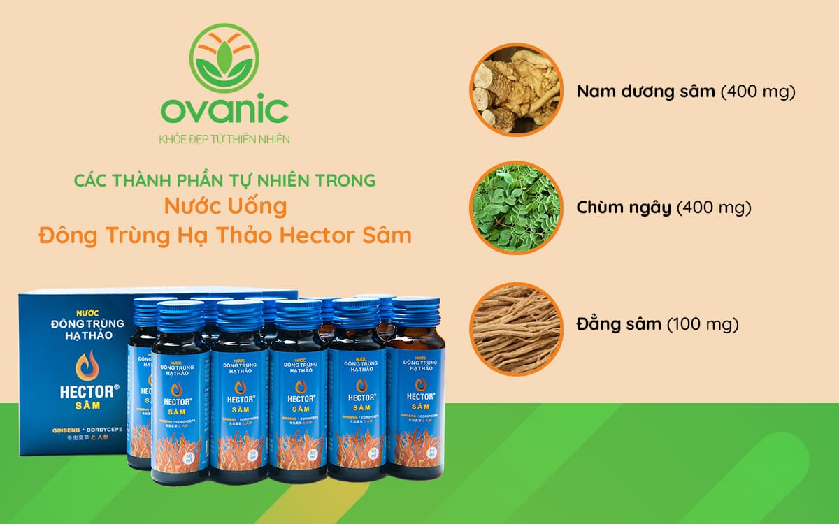 Thành phần của sản phẩm Nước uống đông trùng hạ thảo Hector Sâm