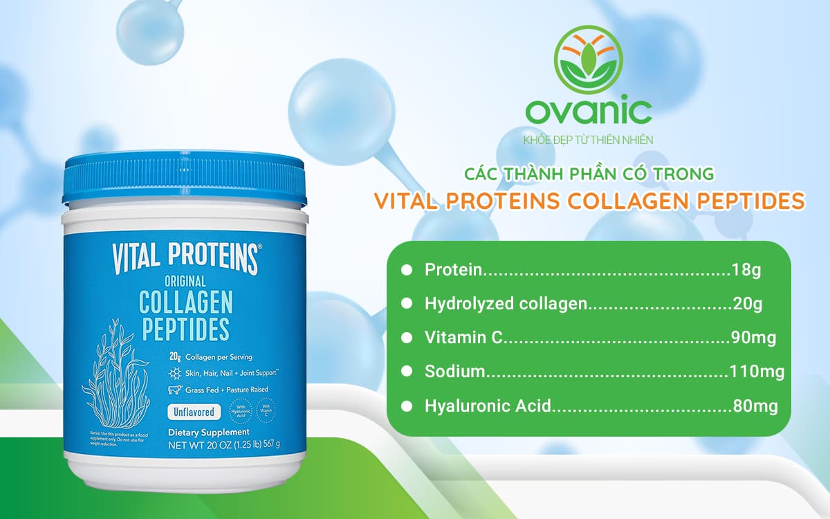 Thành phần của sản phẩm Vital Proteins Collagen Peptides