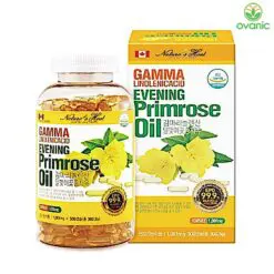 evening primrose oil ovanic