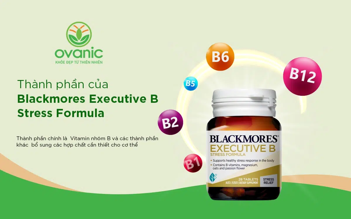 Thành phần của sản phẩm Blackmores Executive B