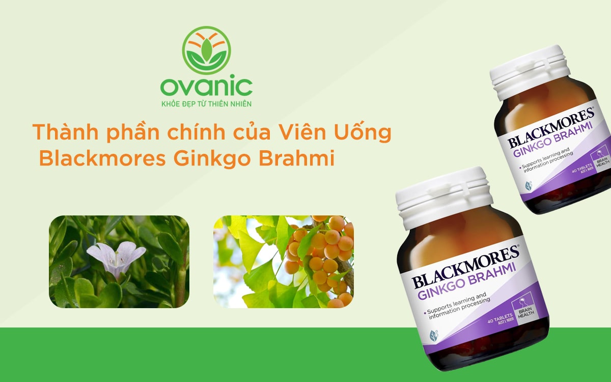 Thành phần của sản phẩm Blackmores Ginkgo Brahmi