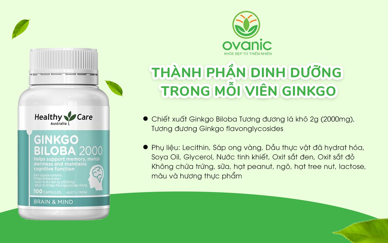 Thành phần Ginkgo Biloba Healthy Care