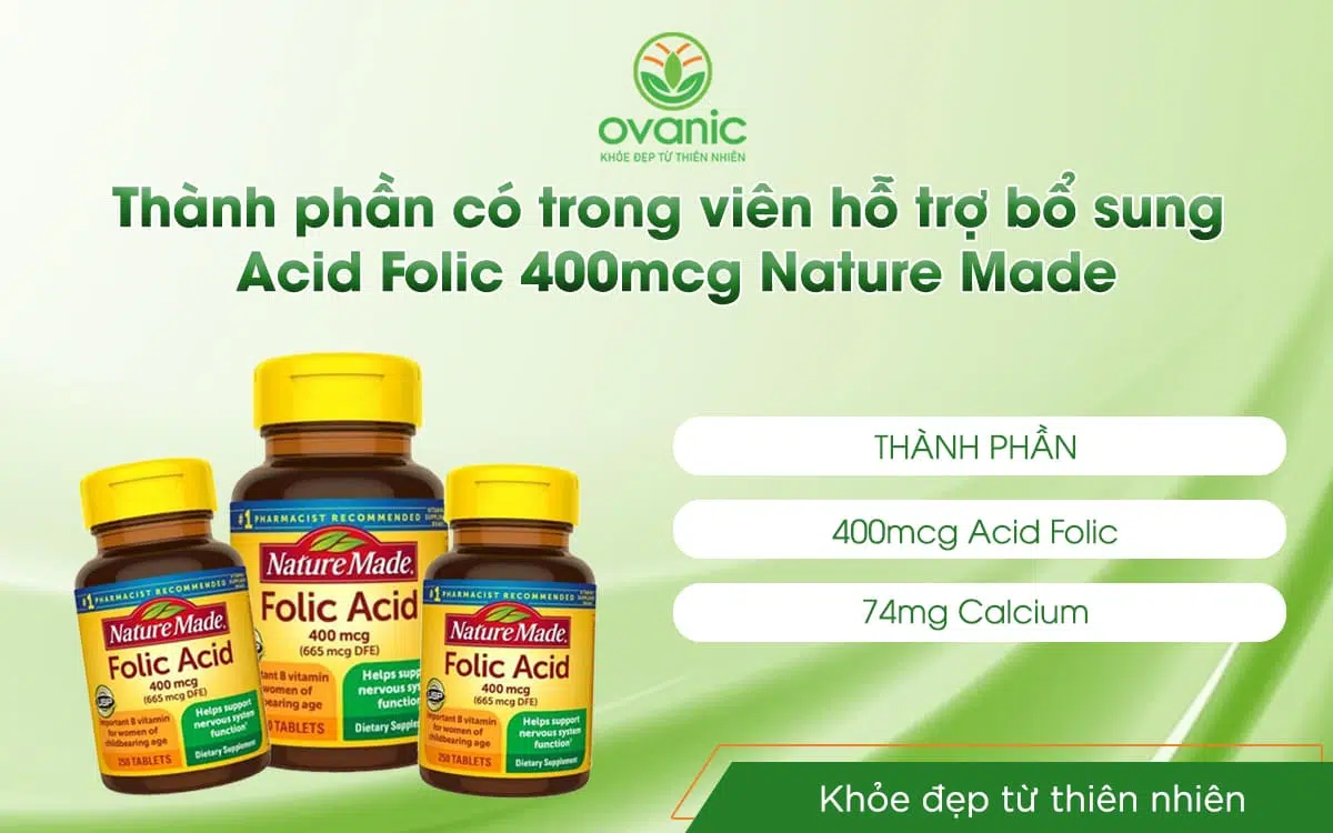 Thành phần có trong sản phẩm Acid Folic 400mcg Nature Made