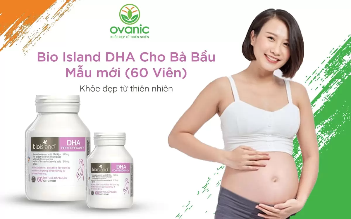 Giới thiệu về sản phẩm 