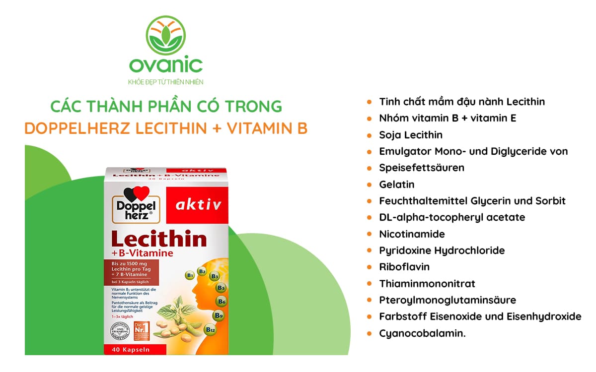 Thành phần có trong Mầm Đậu Nành Đức Doppelherz Lecithin + Vitamin B