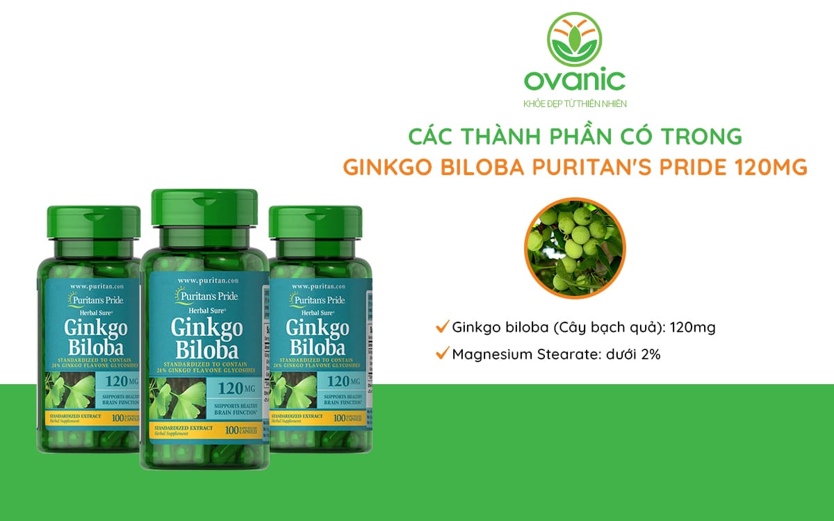 Thành phần có trong Viên uống Ginkgo Biloba Puritan's Pride 120mg 