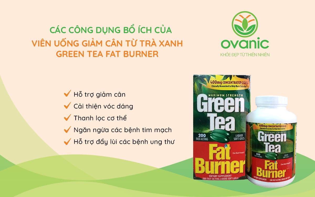 Công dụng của Viên uống giảm cân từ trà xanh Green Tea Fat Burner