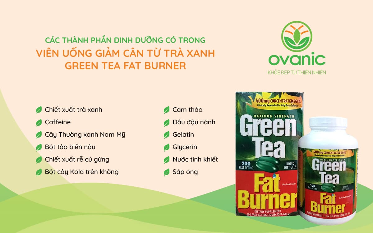 Thành phần có trong Viên uống giảm cân từ trà xanh Green Tea Fat Burner