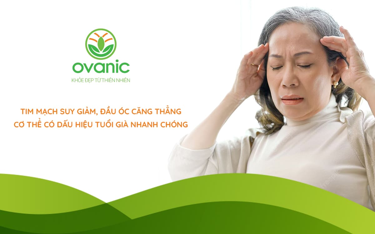 Nỗi lo về sức khỏe dinh dưỡng khi lớn tuổi