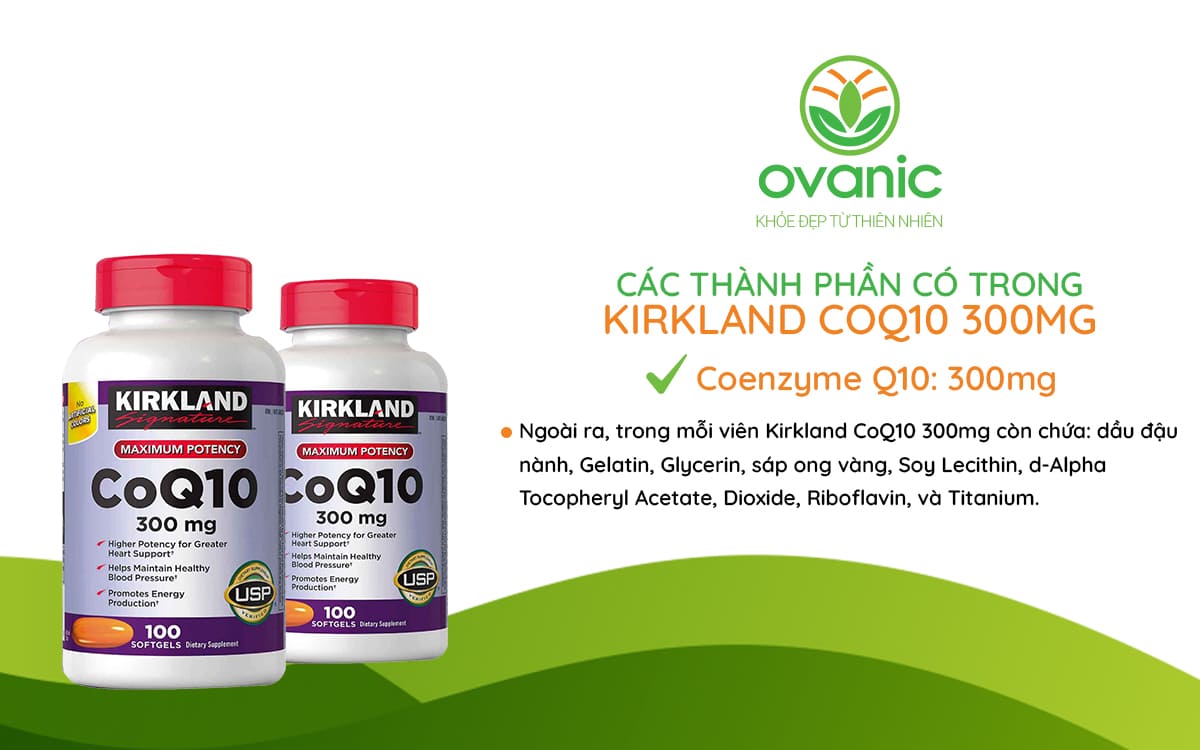 Thành phần có trong Viên uống Kirkland CoQ10 300mg