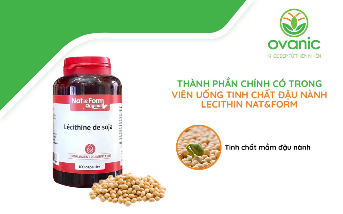 Thành phần có trong Viên uống tinh chất đậu nành Lecithin Nat&Form