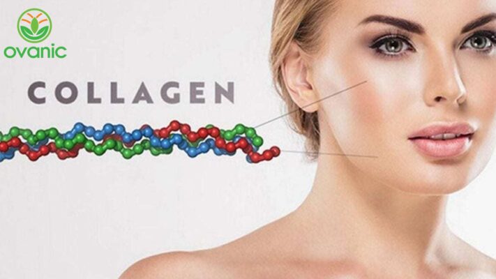 collagen giúp bảo vệ cơ thể