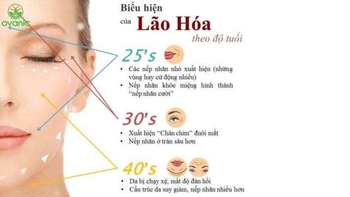 biểu hiện lão hoá da theo từng độ tuổi