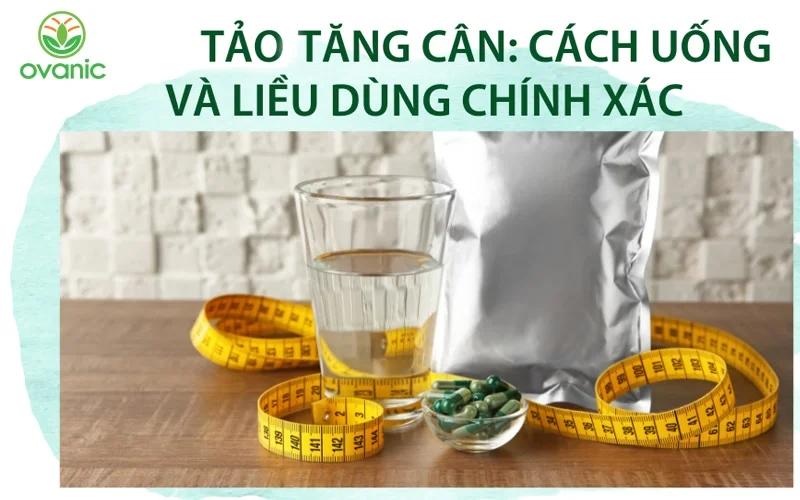 Uống tảo sau khi ăn giúp tăng cân nhanh chóng, hiệu quả, an toàn