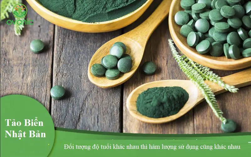 Mỗi đối tượng, độ tuổi được khuyên dùng tảo với liều lượng khác nhau