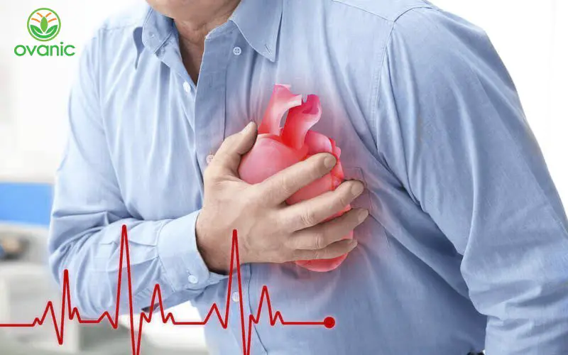 Cách dùng tảo biển Nhật như thế nào để mang lại hiệu quả tốt nhất?