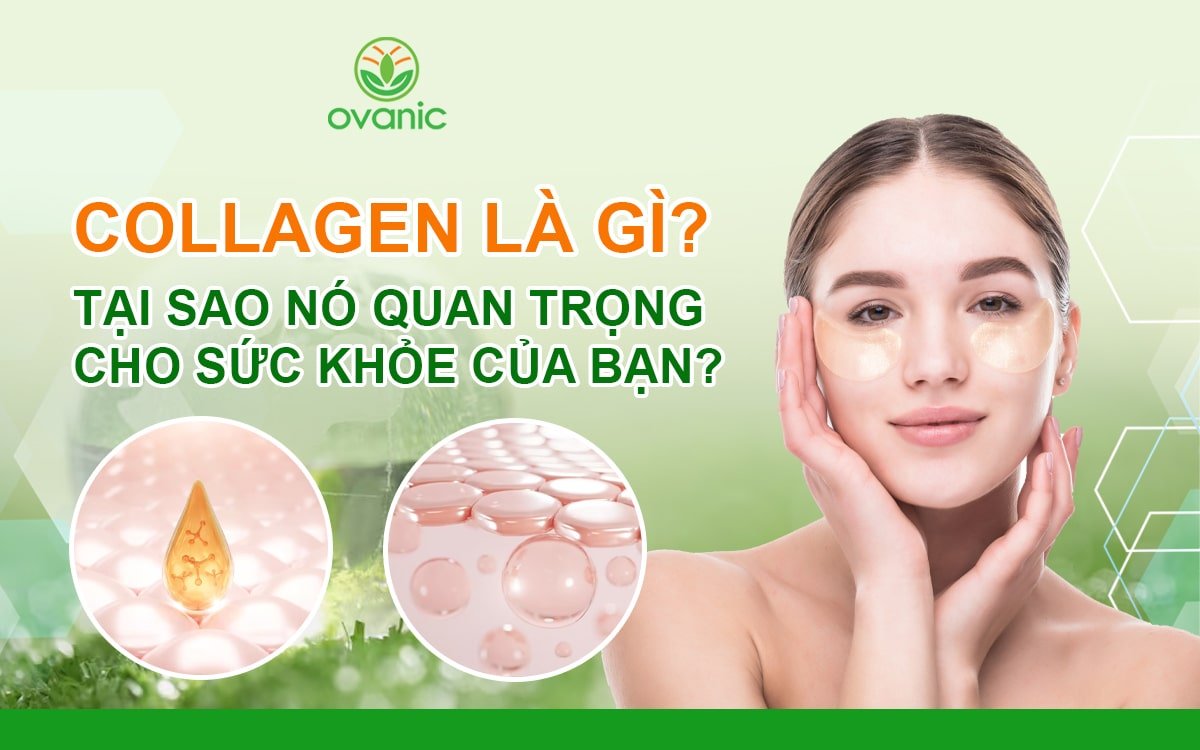 Collagen Là Gì