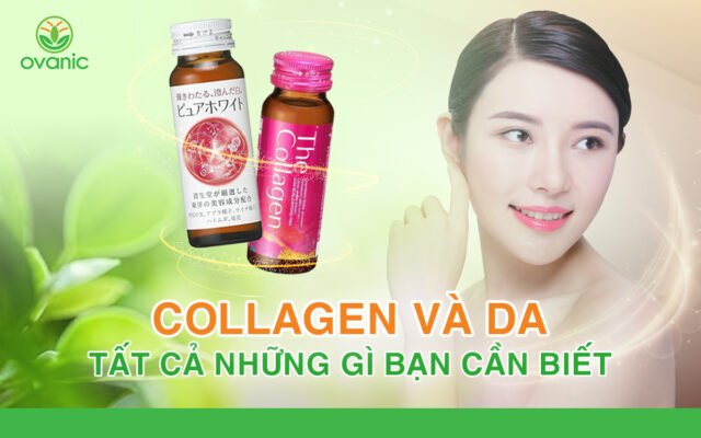 Collagen và da: vai trò và tác dụng