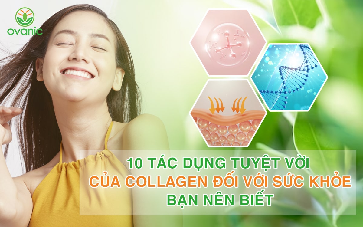 Tác dụng của Collagen