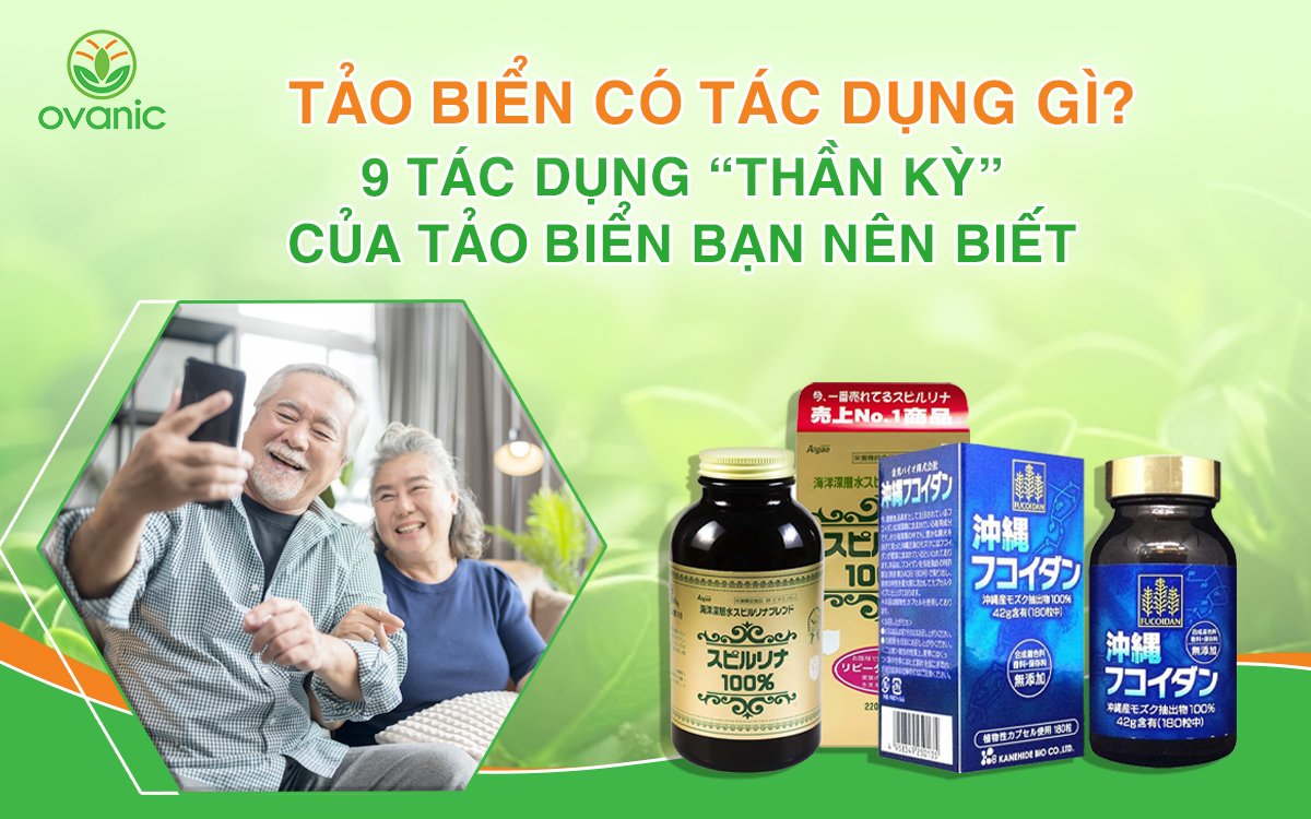 Tảo biển có tác dụng gì - ovanic.vn