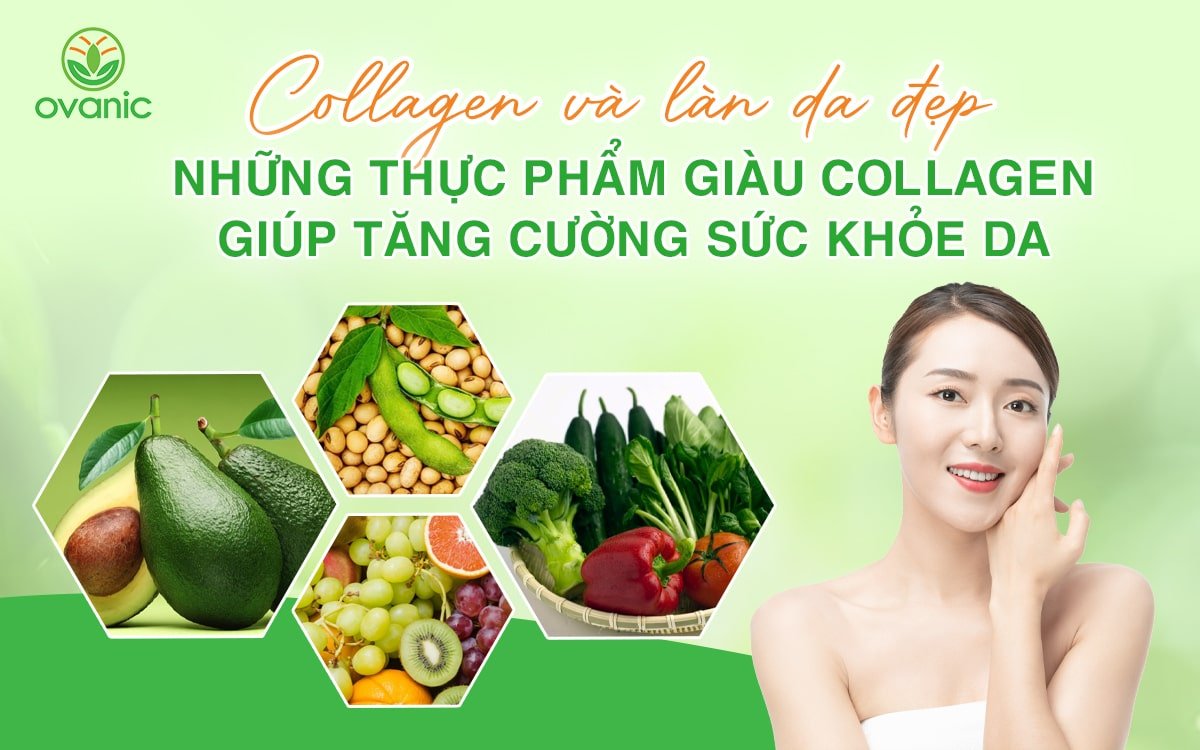 Những thực phẩm giàu collagen giúp tăng cường sức khỏe da