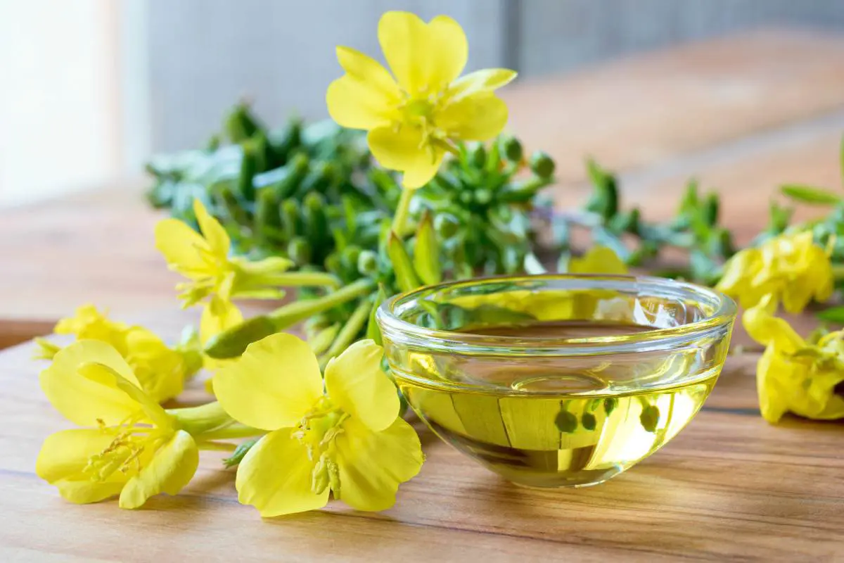 Ảnh mô tả tinh dầu hoa anh thảo