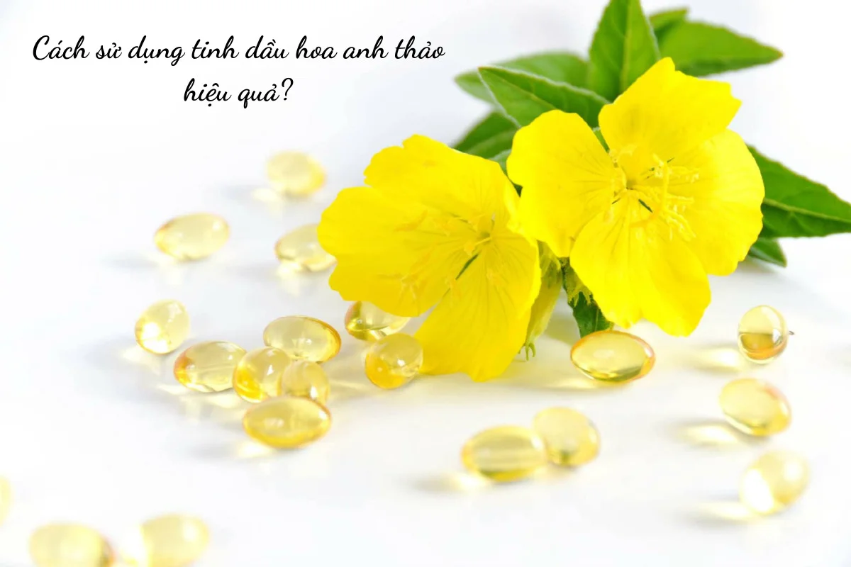 Liều lượng sử dụng tinh dầu hoa anh thảo thế nào thì hiệu quả?