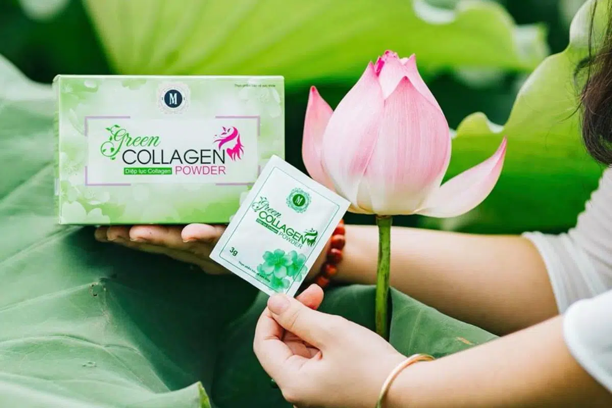 Hiện nay xu hướng sử dụng collagen diệp lục đang ngày một tăng cao