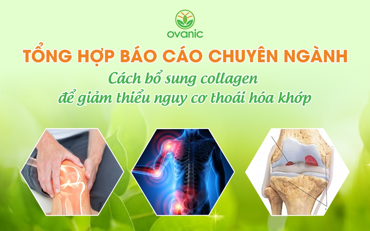 Báo cáo chuyên ngành: Cách bổ sung collagen để giảm thiểu nguy cơ thoái hóa khớp