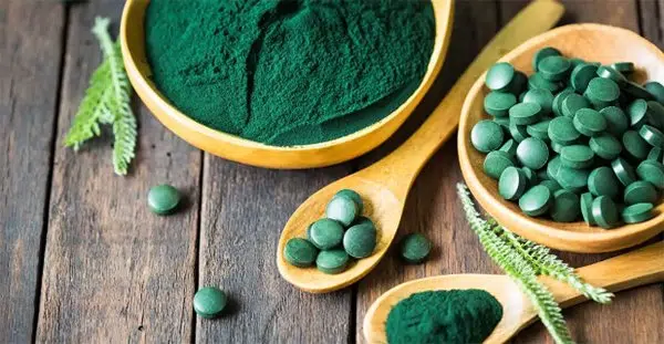 Bột tảo spirulina