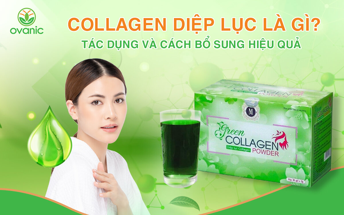 Collagen diệp lục