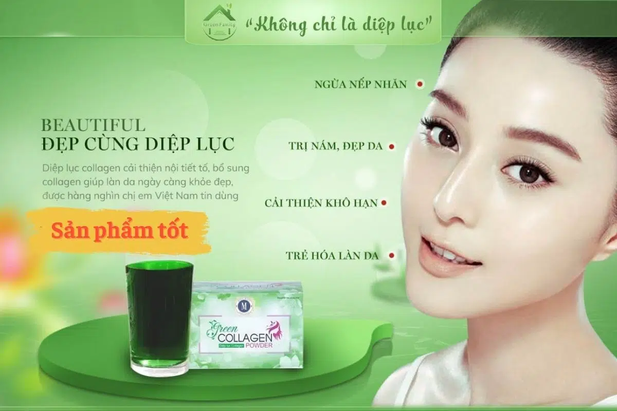 Collagen diệp lục có các vitamin và khoáng chất để tăng cường khả năng miễn dịch