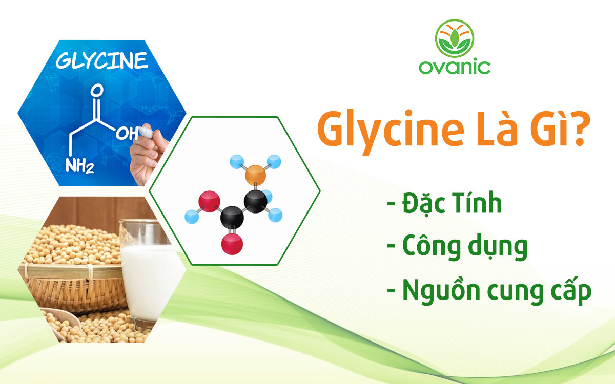 Glycine Là Gì