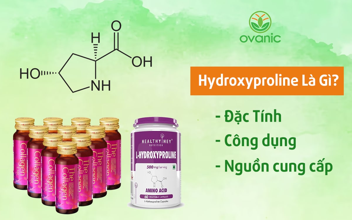 Hydroxyproline là gì