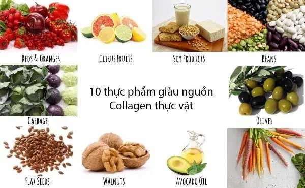 Thực phẩm hỗ trợ hấp thu collagen