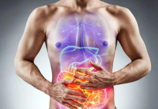 Cơ thể loại bỏ kim loại nặng nhờ tảo biển