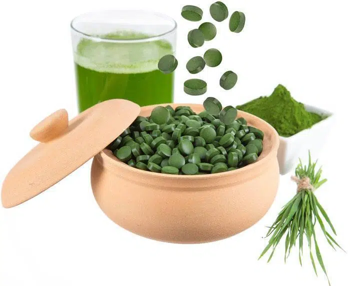 Tảo biển có nhiều công dụng trong việc giải độc cơ thể