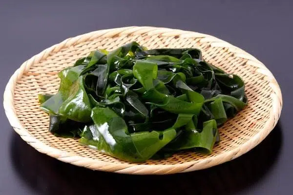 Tảo wakame