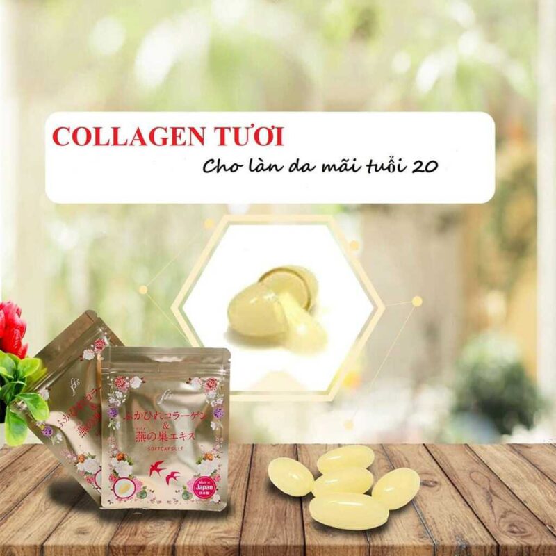 Viên uống collagen tươi Nhật Bản